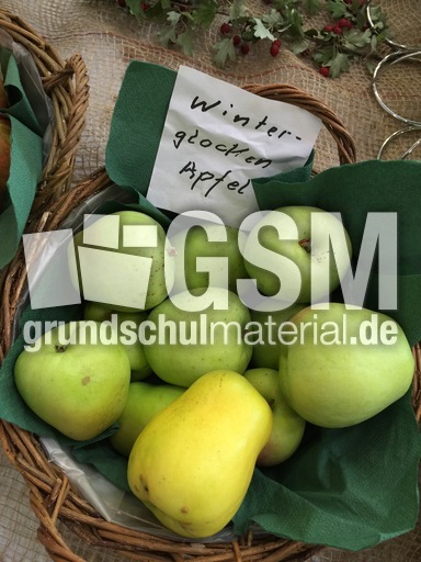 Winterglocken.jpg